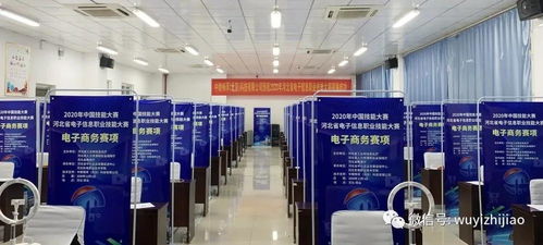 衡水市武邑職教中心教師在河北省電子信息服務(wù)業(yè)職業(yè)技能大賽中榮獲佳績(jī)，彰顯信息電子技術(shù)服務(wù)專(zhuān)業(yè)實(shí)力